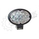 HALOGEN OWALNY CLEAR LED 36W